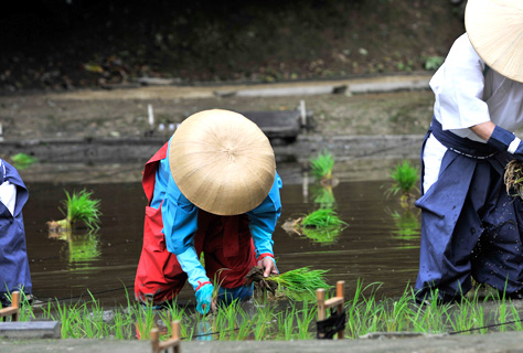 田植祭